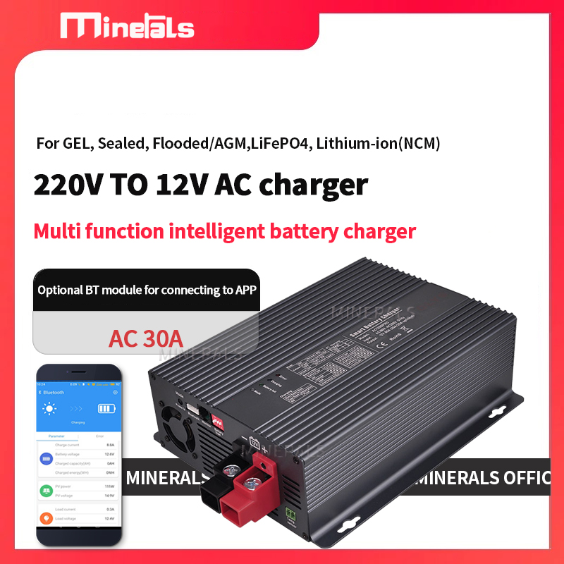 Smart Battery Charger AC to DC - Lithium Battery 12V 评论和价格