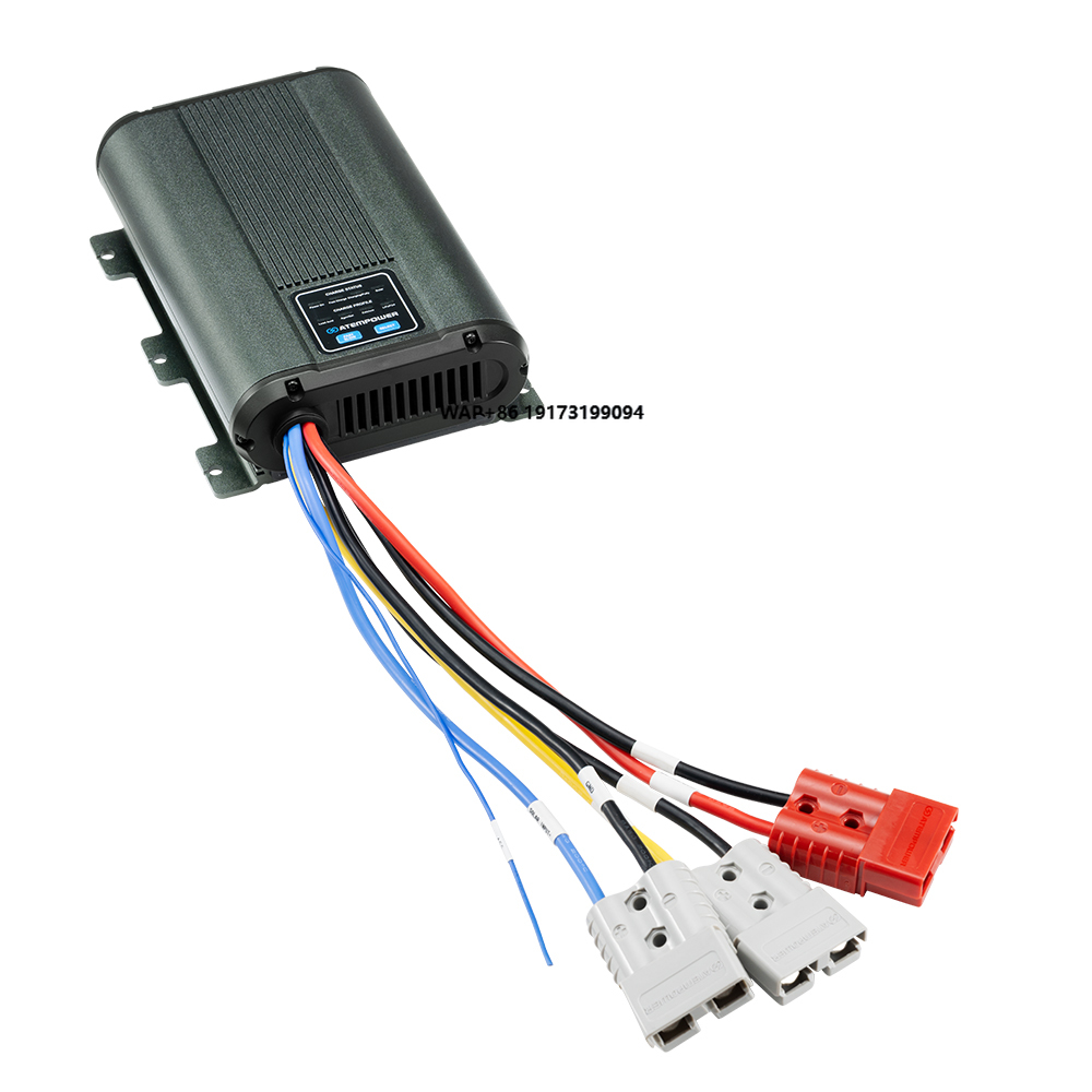 ATEM POWER Automatic 12V 60A C - Lithium Battery 12V 评论和价格